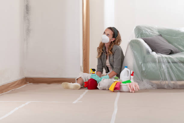 Reliable Basement Mold Remediation contractor in Jacksonville Beach, FL by WQB Mold Removal